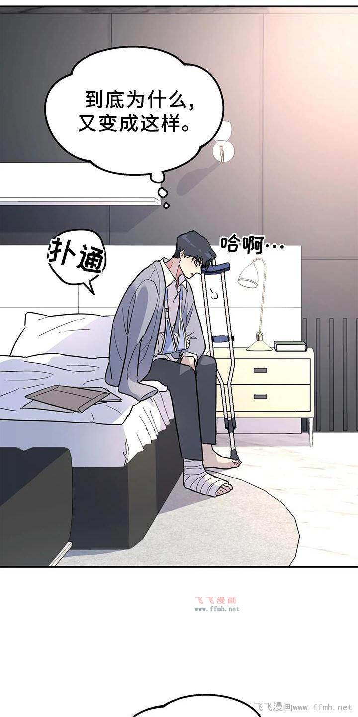 无根之树漫画 第37章：与你无关免费阅读 飞飞漫画